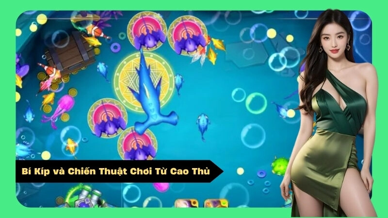 Bí Kíp và Chiến Thuật Chơi Từ Cao Thủ