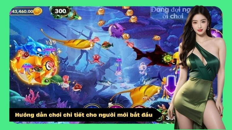 Hướng dẫn chơi chi tiết cho người mới bắt đầu