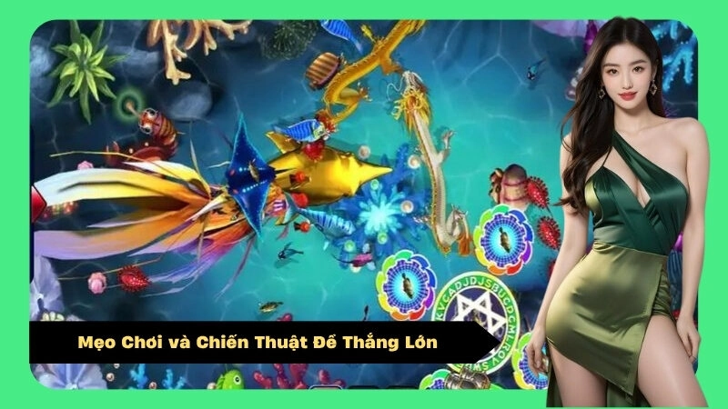 Mẹo Chơi và Chiến Thuật Để Thắng Lớn